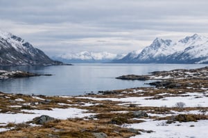 Nordisk vinterlandskab-1